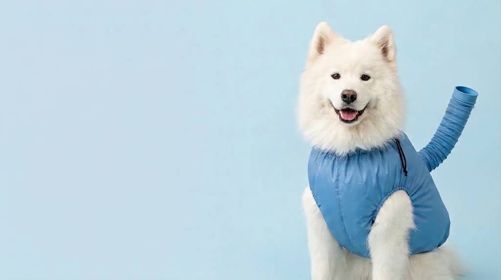 Dry your dog in minutes, not hours.